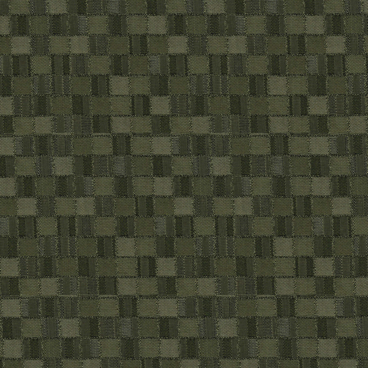 Empire Fern Fabric |#| 