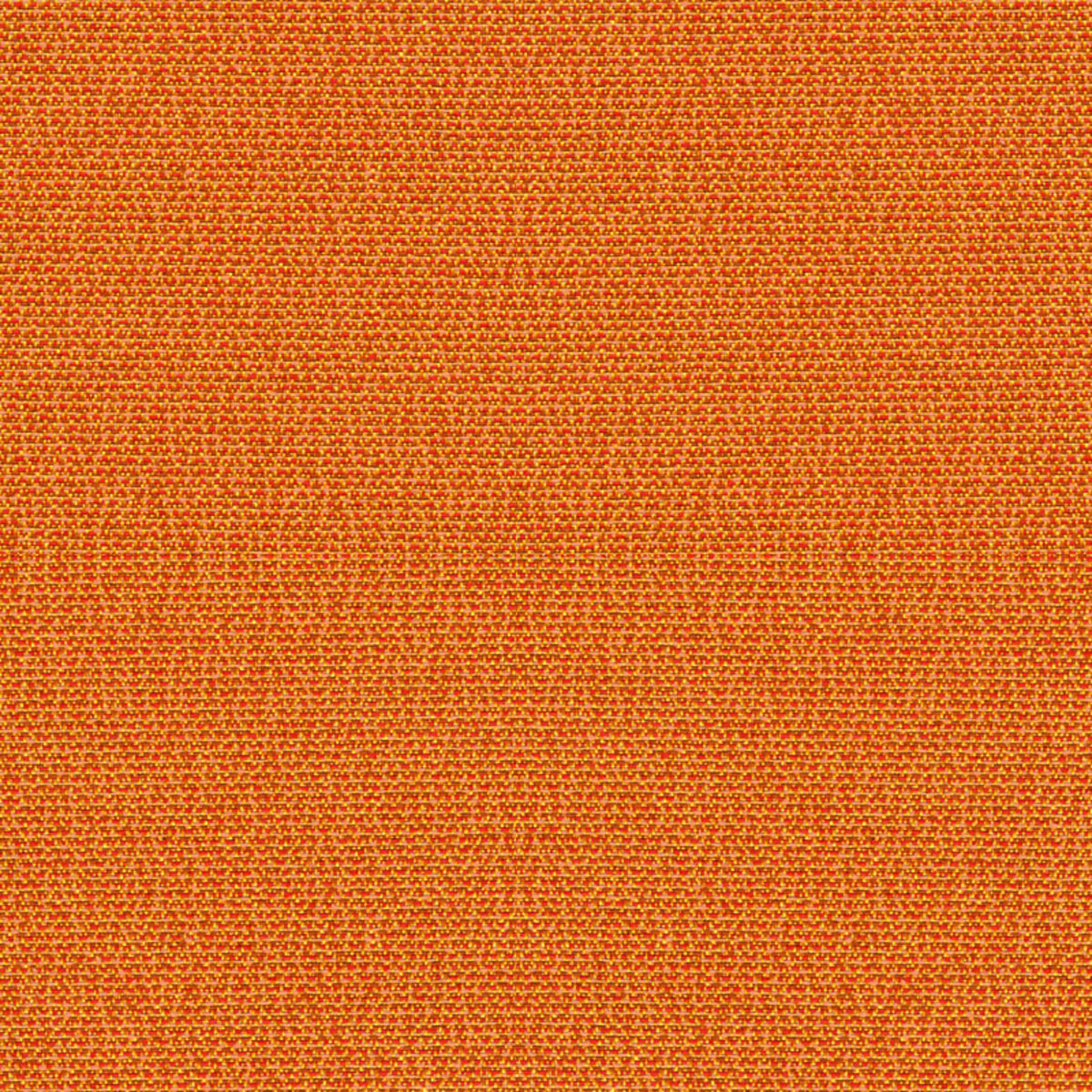 Phoenix All Spice Fabric |#| 