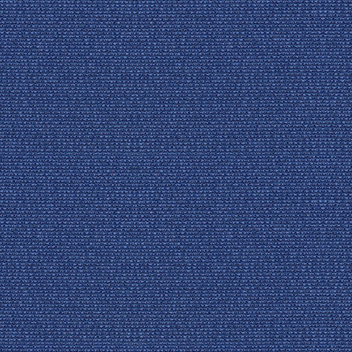 Phoenix Sailor Fabric |#| 