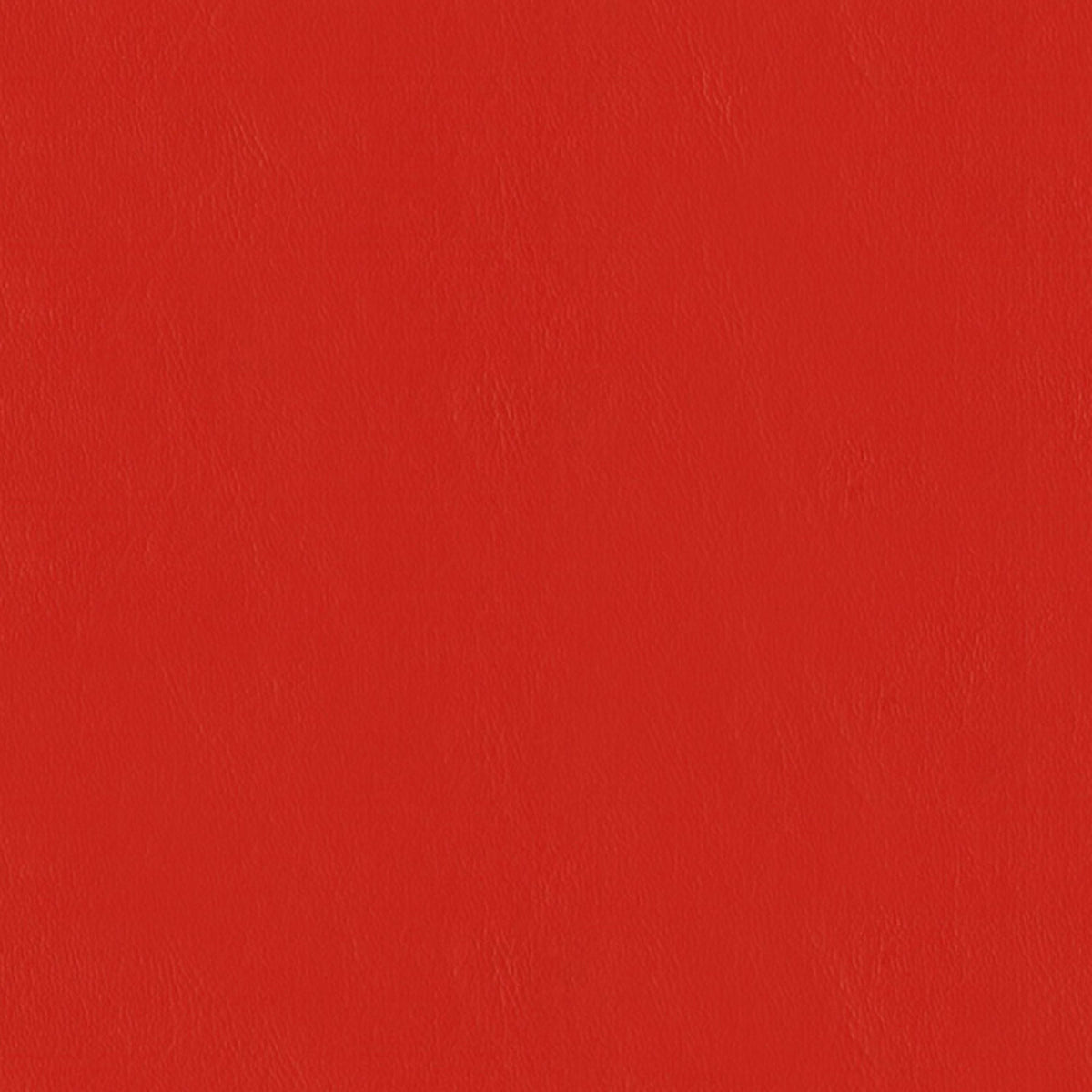 E-Z Wallaby Poppy Vinyl |#| 