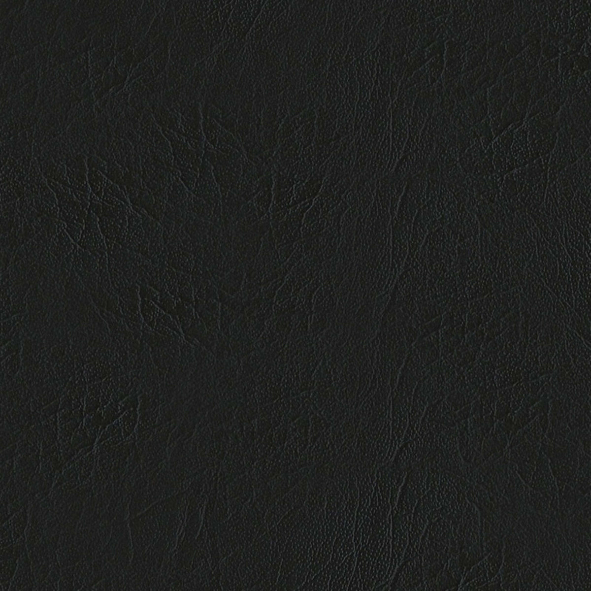 E-Z Oxen Black Vinyl |#| 