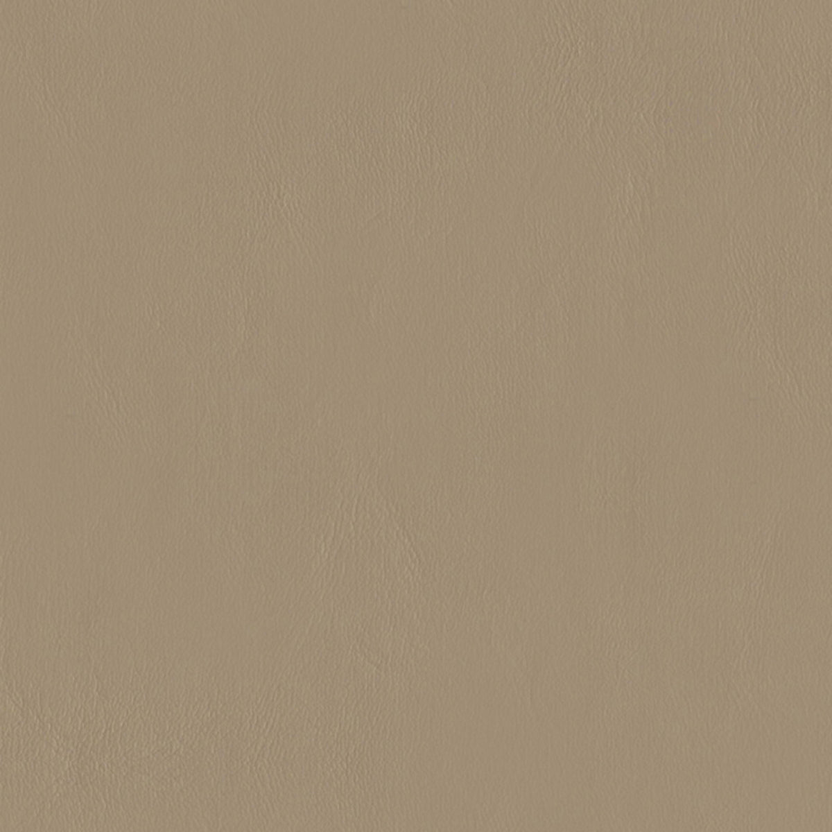 E-Z Wallaby Neutral Vinyl |#| 