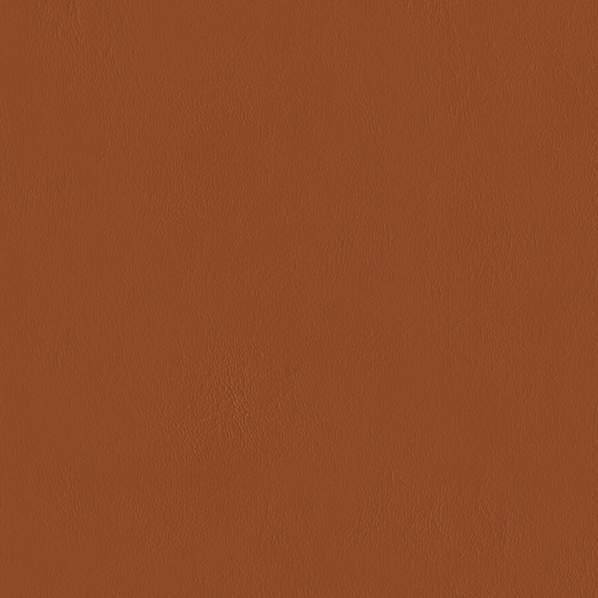 E-Z Wallaby Clay Vinyl |#| 