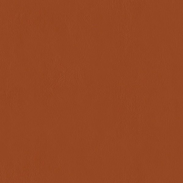 E-Z Elk Black Vinyl |#| 