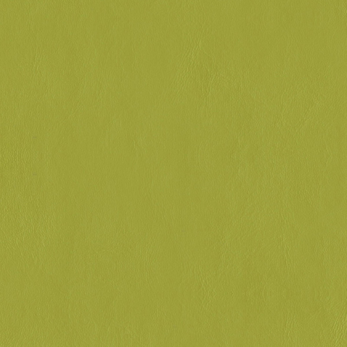 E-Z Wallaby Lime Vinyl |#| 