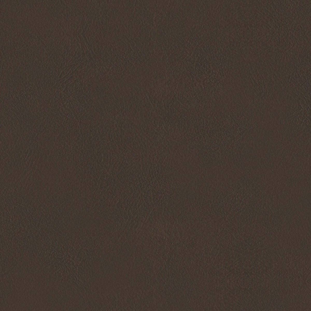 E-Z Sierra Brown Vinyl |#| 